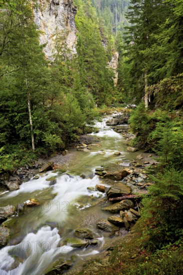 Diosaz mountain river in the gorge, Gorges de la Diosaz, Les Houches, Chamonix-Mont-Blanc, Haute-Savoie, France
