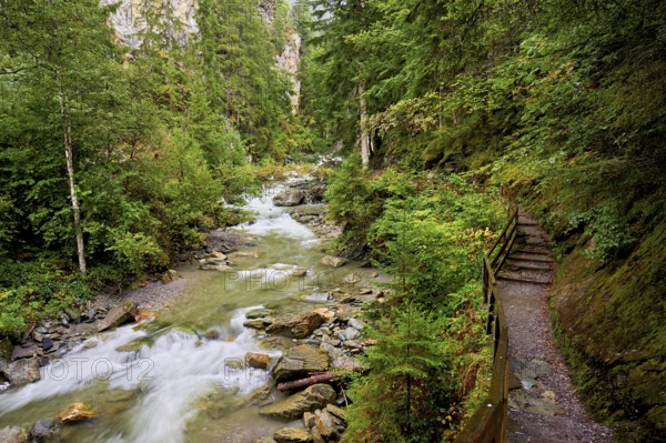 Wooden walkway on the Diosaz mountain river in the gorge, Gorges de la Diosaz, Les Houches, Chamonix-Mont-Blanc, Haute-Savoie, France