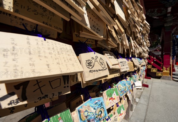 Ema, small wooden tablets with wishes and prayers, hung so that the Kami spirits or gods can receive them, Hakone Shrine, Hakone, Japan