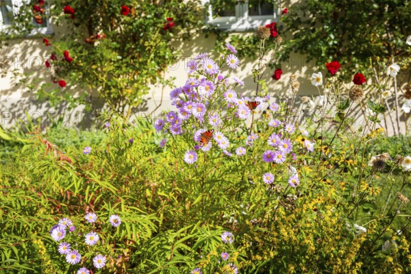 Schlossvorwerk Muskau in Muskauer Park, UNESCO World Heritage Site, Bad Muskau, Upper Lusatia, Saxony, Germany