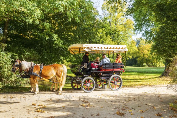 Horse-drawn carriage with tourists in Muskauer Park, UNESCO World Heritage, Bad Muskau, Upper Lusatia, Saxony, Germany