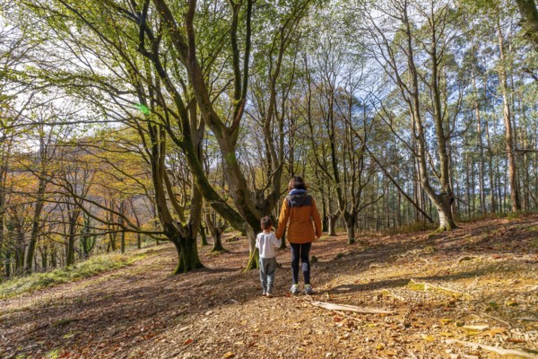 Mother and son enjoying a peaceful walk together through a mixed autumn forest, exploring nature and bonding during their family outing in the basque country