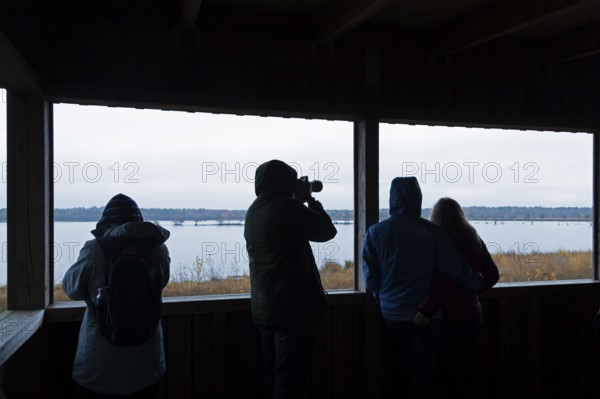Bird watchers in the observation tower, Tister Bauernmoor, Tiste, Samtgemeinde Sittensen, Lower Saxony, Germany