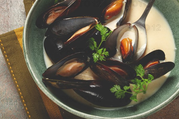 Mussels in shells, in creamy garlic sauce, mussels in bechamel sauce, homemade, no people