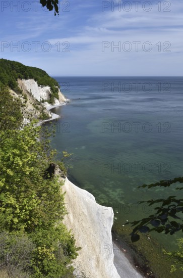 Chalk cliffs, chalk coast on the island of Rügen, Jasmund National Park, Mecklenburg-Western Pomerania, Germany