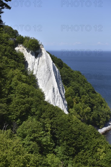 The Königsstuhl chalk cliff on Rügen, Sassnitz, Jasmund National Park, Mecklenburg-Western Pomerania, Germany