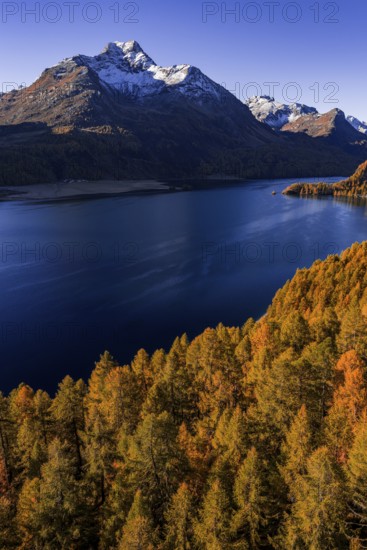Mountain landscape, mountain lake, larch forest, autumn, autumn color, morning light, sunny, aerial view, Lake Sils, Engadin, Switzerland