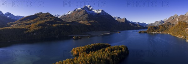 Mountain landscape, mountain lake, larch forest, autumn, autumn color, morning light, panorama, sunny, aerial view, Lake Sils, Engadin, Switzerland