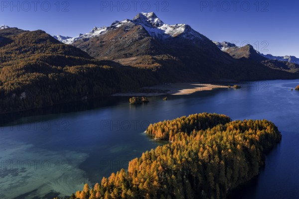 Mountain landscape, mountain lake, larch forest, autumn, autumn color, morning light, sunny, aerial view, Lake Sils, Engadin, Switzerland