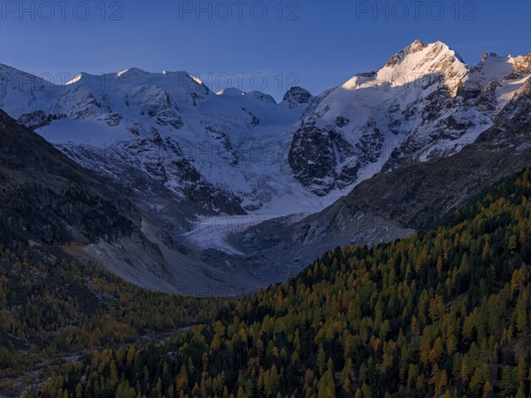 Mountain landscape, larch forest, autumn, autumn discoloration, morning light, aerial view, glacier, Morteratsch valley, Morteratsch glacier, Engadin, Switzerland