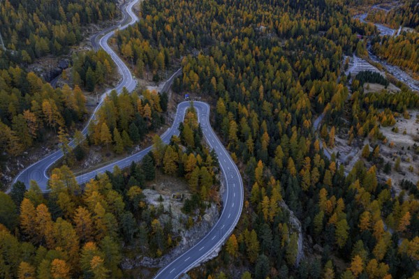 Mountain landscape, road, curvy, serpentines, larch forest, autumn, autumn discoloration, aerial view, Montebello curve, Morteratsch, Engadin, Switzerland