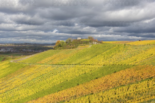 Colourful vineyards spread out under a cloudy sky. Autumn colors dominate the hilly landscape, Schützenhüttle-Esel, near Strümpfelbach im Remstal, Baden-Württemberg, Germany