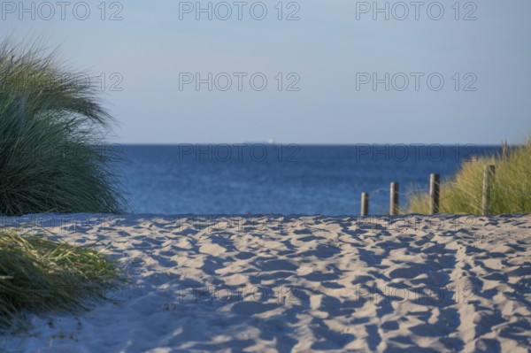 Sandweg zum Ostseestrand, Ahrenshoop, Darß, Mecklenburg-Western Pomerania, Germany