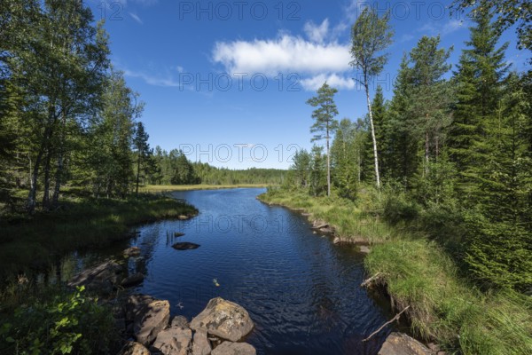 Forest lake, rocks, cloud, blue sky, near Sunne, Sweden