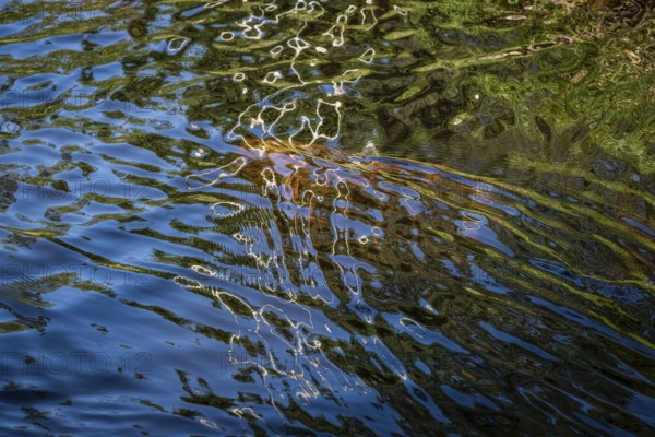 Reflections and reflections on the water surface of a forest lake form abstract patterns, Sweden