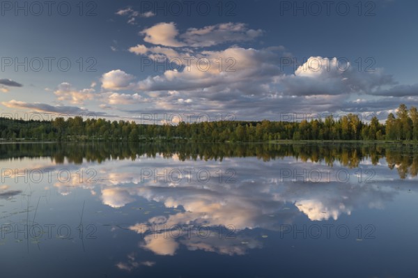 Clouds reflected on the water surface, forest lake, evening mood, at Sunne, Sweden