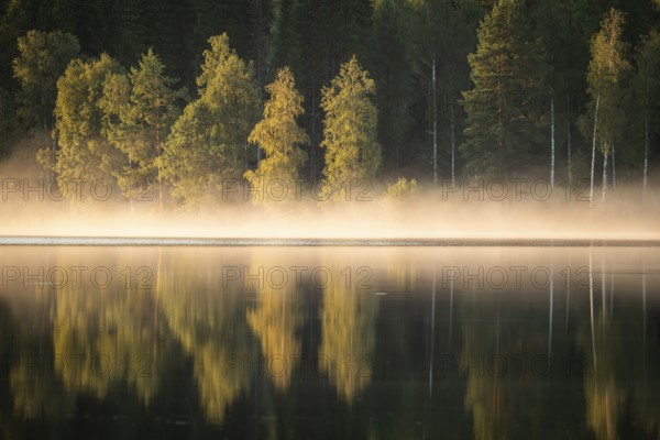 Rising fog in the evening light, lake in the forest, near Sunne, Sweden