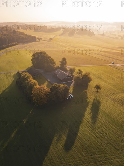 A farm surrounded by fields and trees in the evening light, Gechingen, Germany