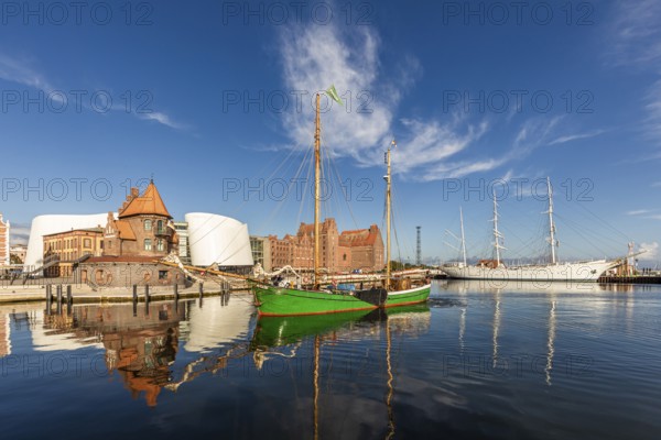 Sailing ship Petrine, a traditional sailor off Pilot House, Ozeanum and Gorch Fock I in the port of the Hanseatic City of Stralsund, Mecklenburg-Western Pomerania, Germany
