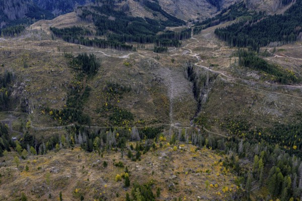 Logging, clearing, clearcut, timber industry, logging, mountain landscape, aerial view, autumn, cloudy, Paneveggio, Trentino, Dolomites