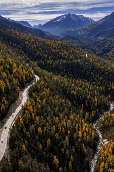 Road, curvy, mountain landscape, wild, unspoiled, coniferous forest, sunny, riverbed, autumn, larch forest, aerial view, Val Müstair, Swiss National Park, Switzerland