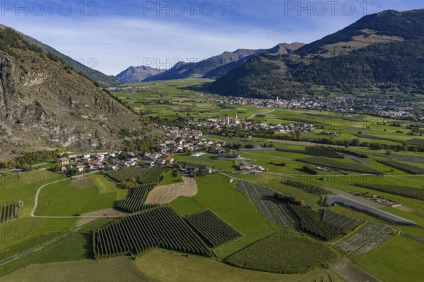 Orchard, apple growing, village, mountain landscape, sunny, autumn, aerial view, Laatsch, Vinschgau, South Tyrol, Italy