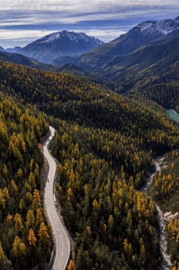 Road, curvy, mountain landscape, wild, unspoiled, coniferous forest, sunny, riverbed, autumn, larch forest, reservoir, aerial view, Val Müstair, Swiss National Park, Switzerland