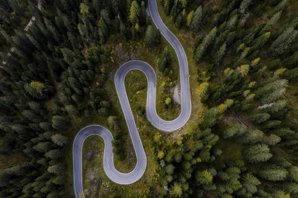 Curvy road, serpentines, pass road, forest, aerial view, Giau Pass, Dolomites, Italy