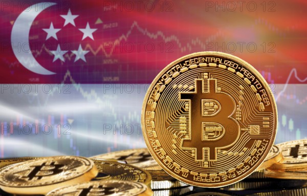 Investors in cryptocurrency and Blockchain Technology in Singapore, Concept. Bitcoin with Singapore flag in the background