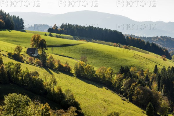 Near St. Peter, Southern Black Forest, Black Forest, Baden-Württemberg, Germany