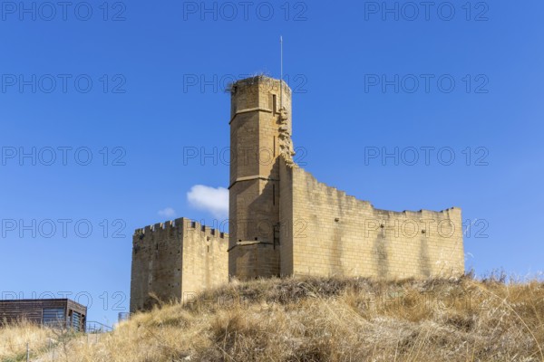 Castle and palace ruin in medieval village of Uncastillo, Cinco Villas, Zaragoza province, Aragon, Spain