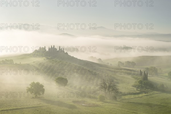 Podere Belvedere, country estate in rolling fields, morning atmosphere with early fog, San Quirico d'Orcia, Val d'Orcia, Tuscany, Italy