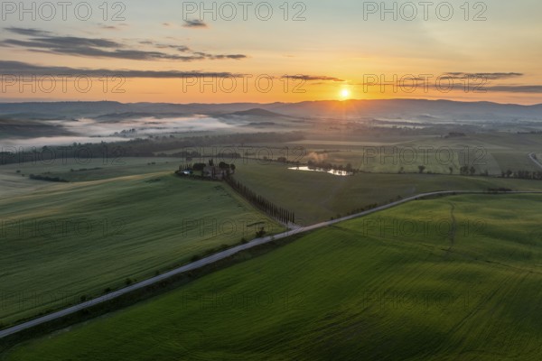 Poggio Covili estate with cypress alley (Cupressus) at sunrise, near San Quirico d'Orcia, Val d'Orcia, Siena Province, Tuscany, Italy