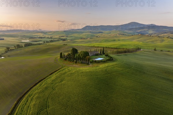 Estate with cypress alley (Cupressus) at sunrise, near San Quirico d'Orcia, Val d'Orcia, Siena Province, Tuscany, Italy