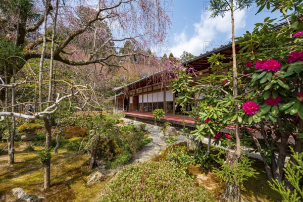 Japanese garden, Ryoan-ji temple, Zen Buddhist temple complex, in spring, Kyoto, Japan