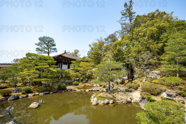 Japanese Garden with Pond, North Garden, Kitaniwa or Hokutei Garden, Ninna-ji Goths, Buddhist Temple Complex, Kyoto, Japan