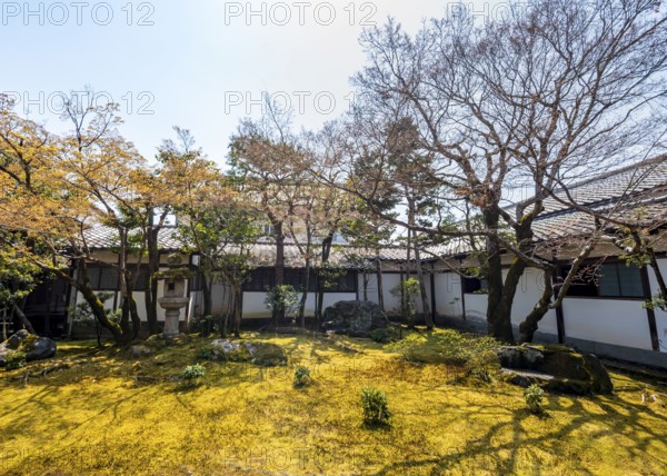 Small Japanese garden with moss, Ninna-ji Goths, Buddhist temple complex, Kyoto, Japan