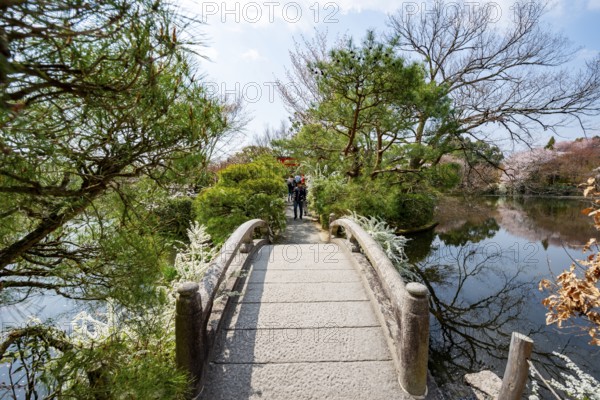 Bridge over Kyoyochi Pond in Japanese Garden, blooming cherry trees, Ryoan-ji, Zen Buddhist temple complex, in spring, Kyoto, Japan
