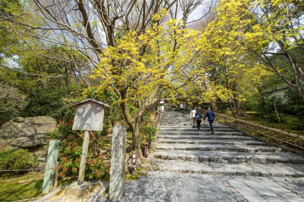 Stairs to Ryoan-ji Temple Kori Kori, Ryoan-ji, Zen Buddhist Temple Complex, Kyoto, Japan