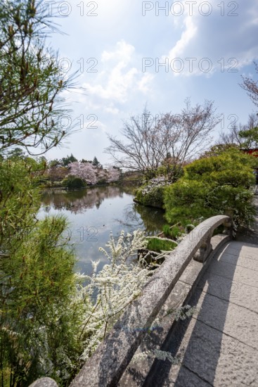 Bridge over Kyoyochi Pond in Japanese Garden, blooming cherry trees, Ryoan-ji, Zen Buddhist temple complex, in spring, Kyoto, Japan