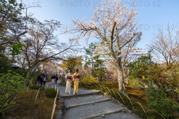 Visitors to Sogenchi Teien Japanese Garden with Blooming Cherry Trees, Tenryu-ji, Zen Buddhist Temple Complex, Sagatenryuji Susukinobabacho, Kyoto, Japan