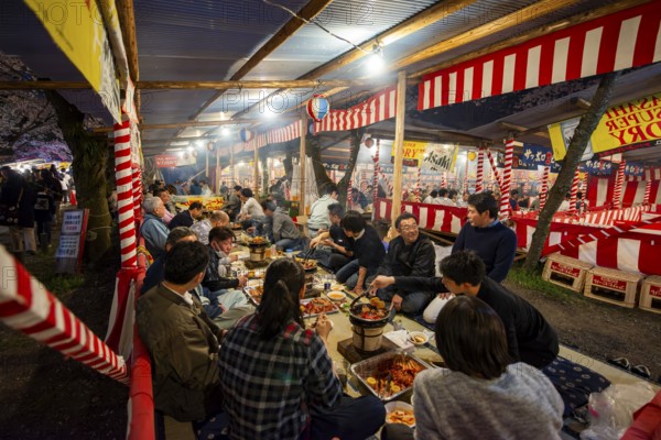 Cherry Blossom Festival, Hanami, Japanese eating grilled food at a long table, evening mood, Hirano Shrine, Kyoto, Japan
