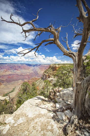 Beautiful landscape of the grand canyon, arizona
