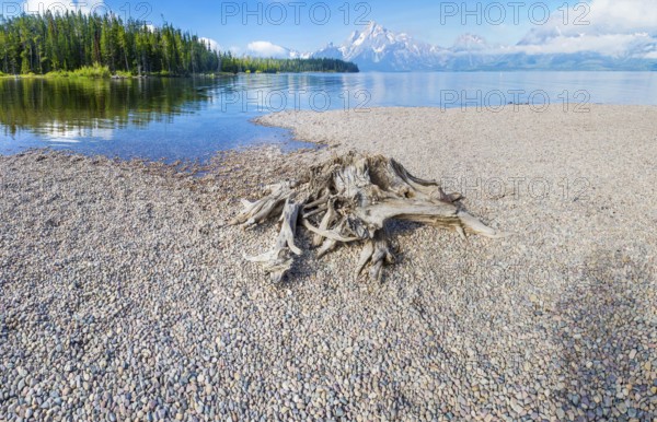 Majestic grand tetons range landscape