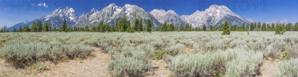 Majestic grand tetons range panorama landscape