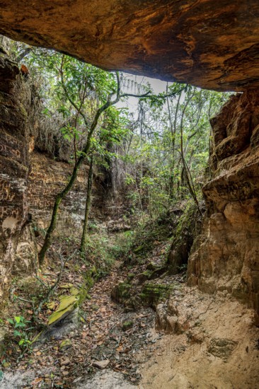 Cave entrance amidst the rainforest in the state of Minas Gerais, Brazil