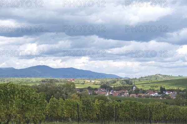 View of the wine town of Göcklingen, on the left the Palatinate Forest, on the right the Kleine Kalmit, South Palatinate, Rhineland-Palatinate, Germany