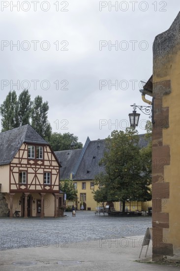 Weingut Schloss Vollrads, Oestrich-Winkel, Rheingau-Taunus-Kreis, Hesse, Germany