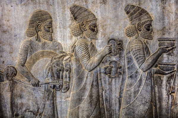 Relief detail of the delegation of peoples bringing gifts to Darius on the stairs of the Apadana Palace, Persepolis