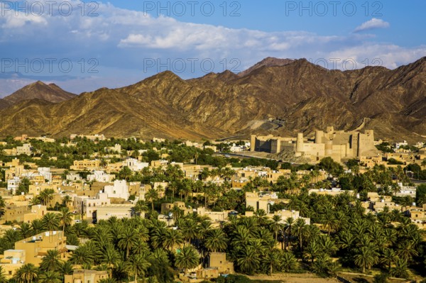 Hisn Tamah Fortress, Bahla Oasis City
